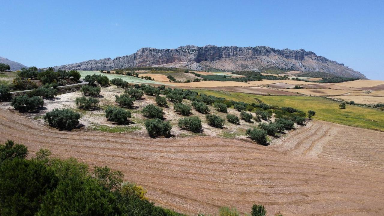 La Posada Del Torcal Вильянуэва-де-ла-Консепсьон Экстерьер фото